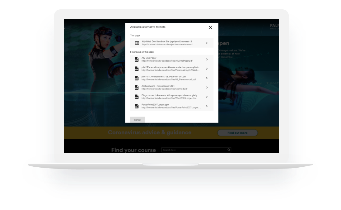 ally for websites screen