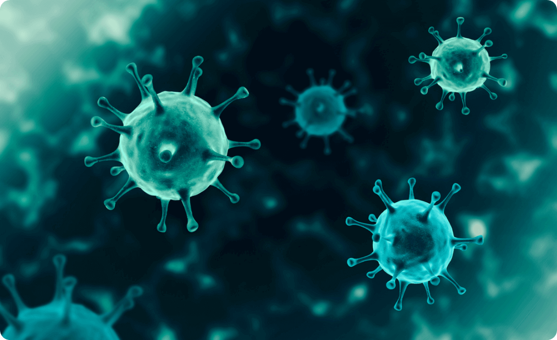 uczelnie w czasie epidemii