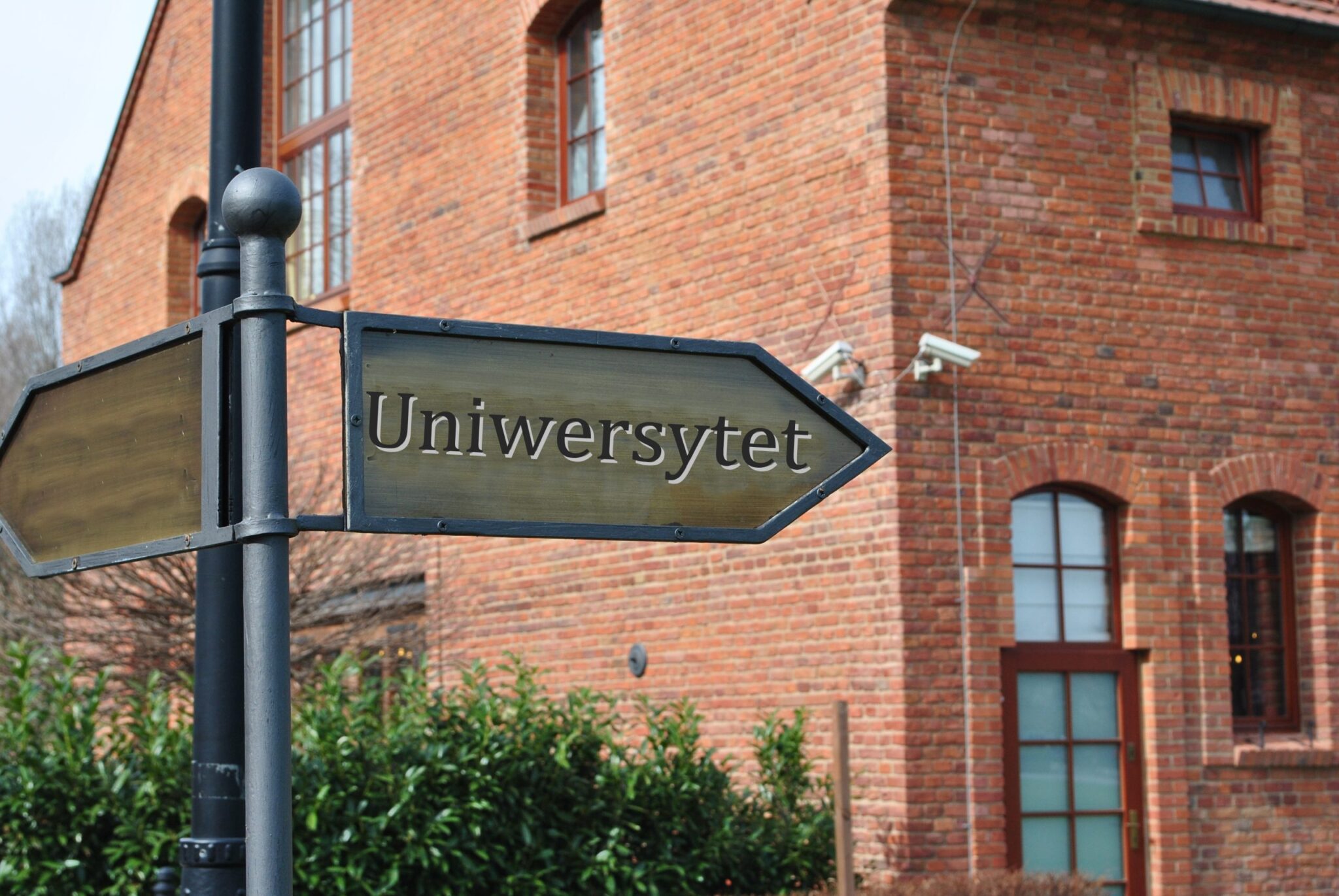 Uniwersytet